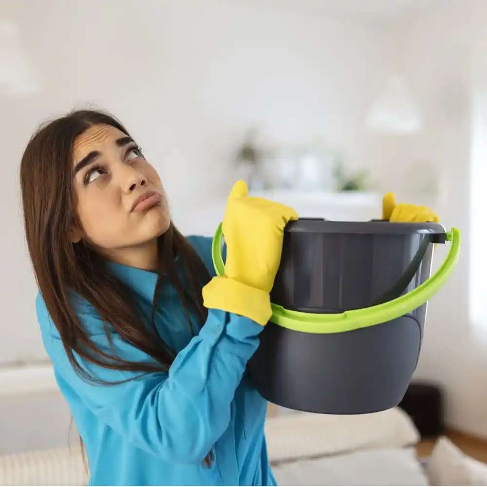 water damage restoration service Harbor Isle